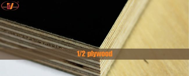 What is 1/2 plywood? What is the thickness of half inch plywood? - Vinawood Vietnam Plywood