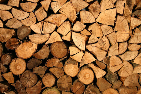 Sustainable Forestry Practices: Vinawood's Commitment to the Environment - Vinawood Vietnam Plywood