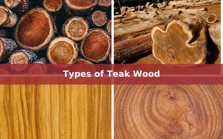 16 Types Of Teak Wood for Furniture, Costs and Their Uses - Vinawood Vietnam Plywood