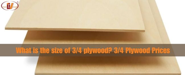 What is the size of 3/4 plywood? How many mm is 3/4 plywood? - Vinawood Vietnam Plywood