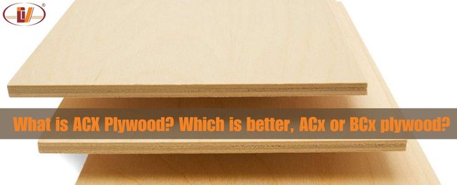 What is ACX Plywood? Which is better, ACX or BCX plywood? - Vinawood Vietnam Plywood