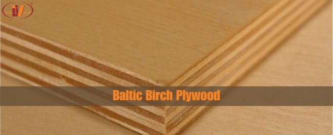 Baltic Birch Plywood: Is Baltic birch better than MDF? - Vinawood Vietnam Plywood