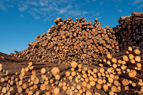 Lumber and Wood Industries - Vinawood Vietnam Plywood