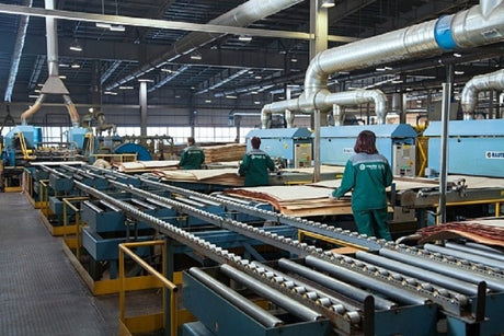Segezha Group's Vyatka plywood mill improves production quality - Vinawood Vietnam Plywood