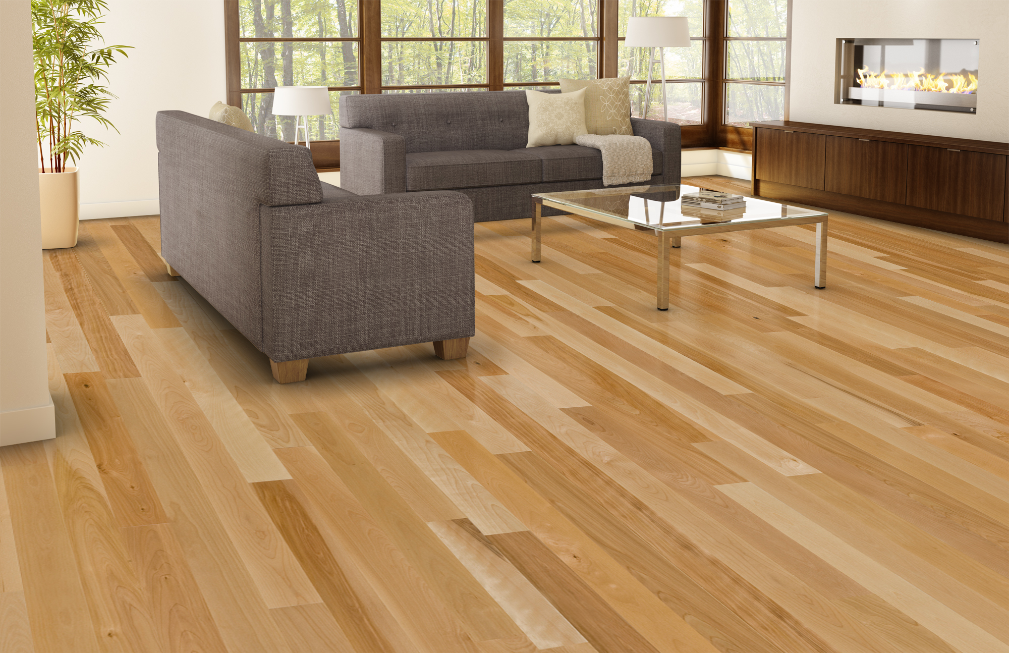 Birch (hardwood)