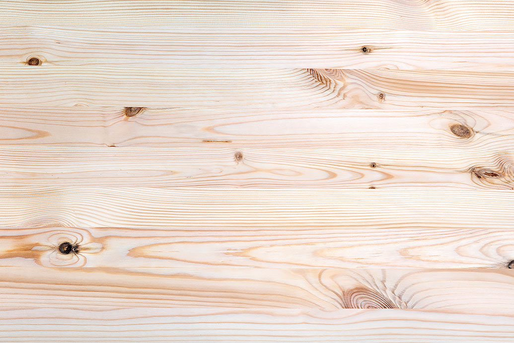 spruce (softwood)