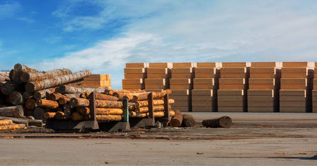 Top 10 Film Faced Plywood Suppliers in Asia - Vinawood Vietnam Plywood