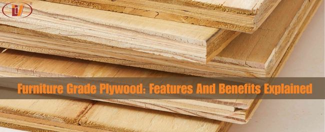 Furniture Grade Plywood: Features and Benefits Explained - Vinawood Vietnam Plywood