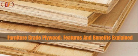 Furniture Grade Plywood: Features and Benefits Explained - Vinawood Vietnam Plywood