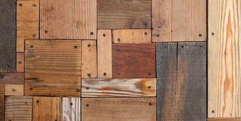 Staining Techniques