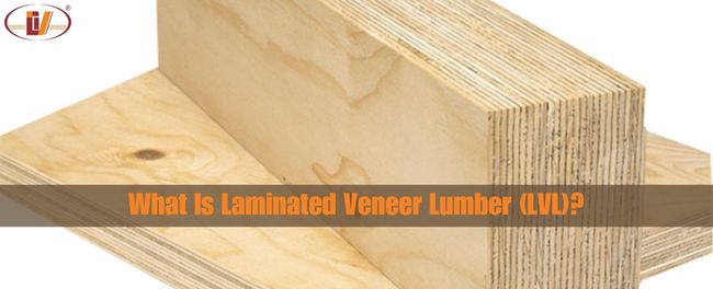 What Is Laminated Veneer Lumber (LVL)? - Vinawood Vietnam Plywood