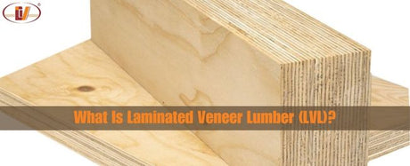 What Is Laminated Veneer Lumber (LVL)? - Vinawood Vietnam Plywood
