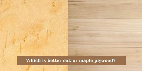 Which is better oak or maple plywood? 