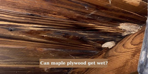 Can maple plywood get wet?