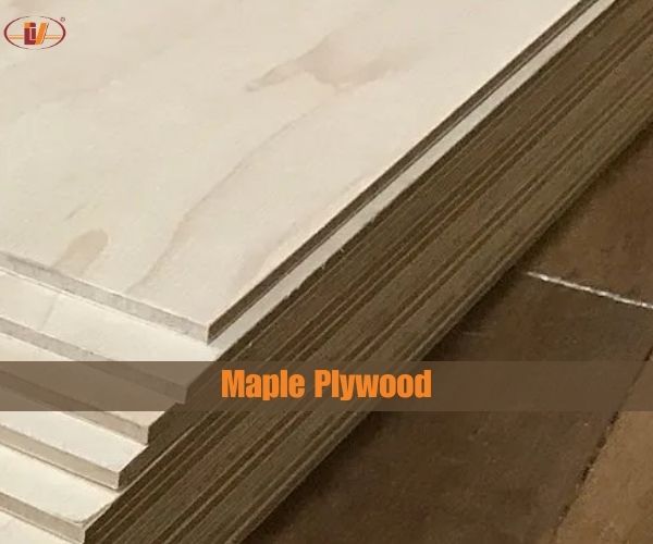 HARD MAPLE PLYWOOD: Is maple plywood good? - Vinawood Vietnam Plywood