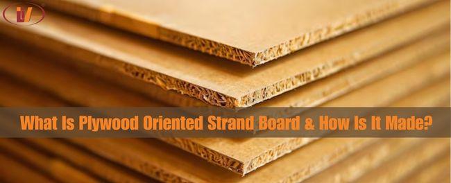 Understanding Oriented Strand Board (OSB) and Its Production Process - Vinawood Vietnam Plywood