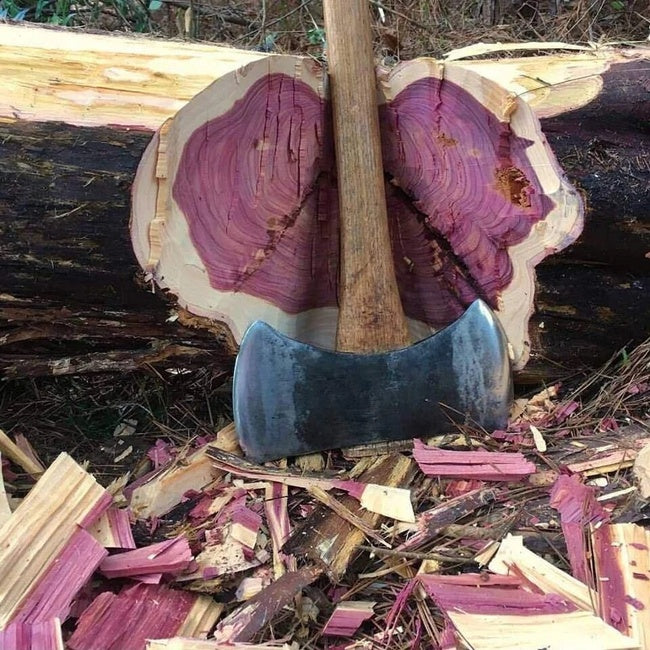 Purpleheart is native to the tropical rainforests of Central and South America