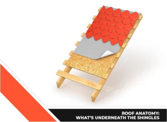 Pro Exteriors discusses the parts of the roof underneath the shingles