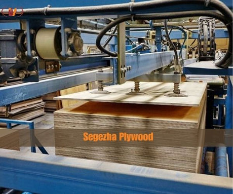 Vyatsky Plywood Mill Invested In Segezha Plywood Production - Vinawood Vietnam Plywood