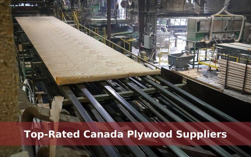 Top-Rated Canada Plywood Manufacturers & Suppliers - Vinawood Vietnam Plywood