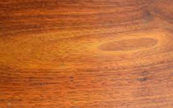 How to identify teak wood