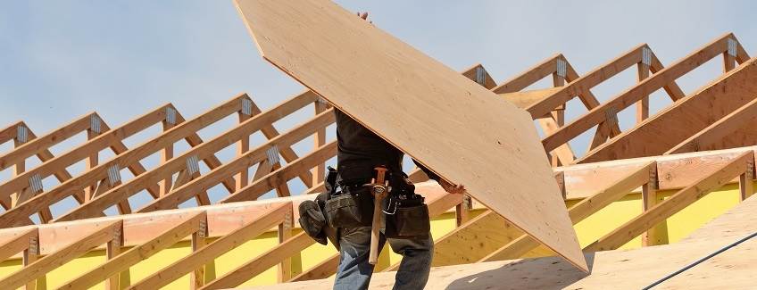 Cheap coppha plywood