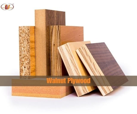 Walnut Plywood: Benefits, Uses, Cost & Where to Buy - Vinawood Vietnam Plywood