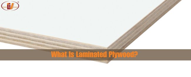 What Is Laminated Plywood? Is Laminated Plywood Strong? - Vinawood Vietnam Plywood