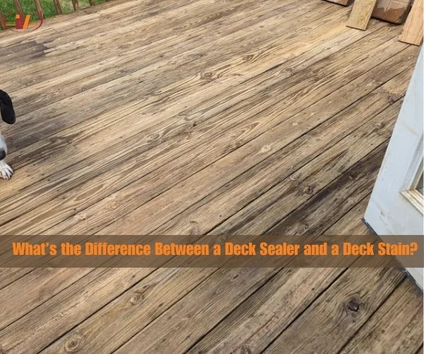 What’s the Difference Between Stain vs Sealer for Decks - Vinawood Vietnam Plywood