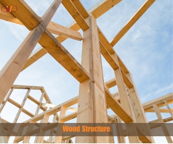 Wood Structure: What is the structure for wood? - Vinawood Vietnam Plywood