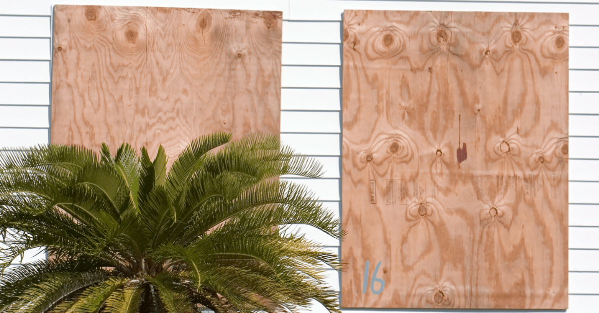 11 Amazing Shuttering Plywood Suppliers in Middle East - Vinawood Vietnam Plywood