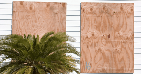 11 Amazing Shuttering Plywood Suppliers in Middle East - Vinawood Vietnam Plywood