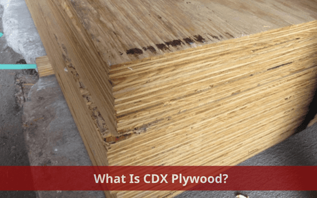 What Is CDX Plywood? Which is better CDX or OSB? - Vinawood Vietnam Plywood