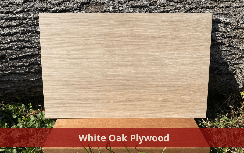 White Oak Plywood: Benefits, Uses & How To Choose - Vinawood Vietnam Plywood